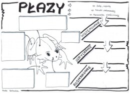 Biologia. Płazy - klasa 6 KP do uzupełnienia