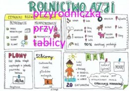 Geografia klasy 5-8 duży zestaw sketchnotek