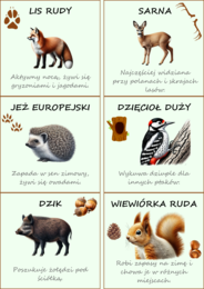 Zwierzęta naszych lasów. Plakat. Bingo