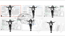Minizestaw na temat „Podziały komórkowe „ – sketchnotka + karta pracy w power point + gratisowy link do prezentacji multimedialnej niekomercyjnej wykonanej w genial.ly do indywidualnego pobrania i użycia do celów niekomercyjnych. Biologia 8, „Genetyka”