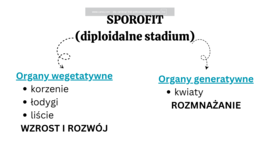 Rośliny pierwotnie wodne + rośliny lądowe i wtórnie wodne KLASA 2 ROZSZERZENIE