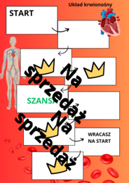 Gra planszowa Układ krwionośny
