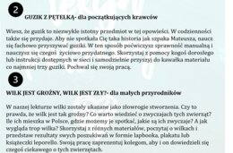 INTERDYSCYPLINARNE ZADANIA LEKTUROWE: MIKOŁAJEK, AKADEMIA PANA KLEKSA, OPOWIEŚCI Z NARNII