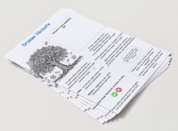 Kolorowanki. Zwierzęta. Rośliny. Drzewa. Las. Łąka. Podstawowe pojęcia (przyroda).