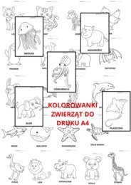 KOLORWANKI ZE ZWIERZĘTAMI DO DRUKU A4 26 KOLOROWANEK