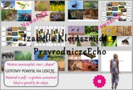 Pomysł na lekcję/karta pracy/stacje zadaniowe/notatki/ materiał do lekcji do tematu „Organizm a środowisko” w pdf. W gratisie niekomercyjny scenariusz lekcji/pomysł na lekcję w programie genial.ly do edycji. Na podstawie wydawnictwa Nowa Era. Biologia 8.