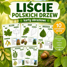 Liście polskich drzew