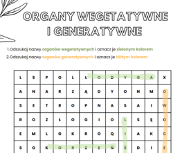 Organy wegetatywne i generatywne roślin (liście, łodyga, korzeń, owoce, kwiat)