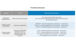 Genetyka klasyczna 4 KLASA ROZSZERZENIE