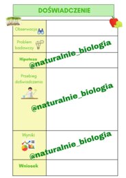Etapy doświadczenia biologicznego