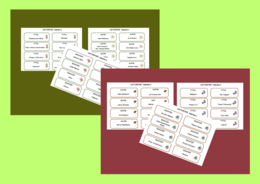 LEKTUROWE KALAMBURY – lektury kl. 4–6 oraz 7-8 – egzamin – powtórka – fiszki – 192 szt. - Zestaw