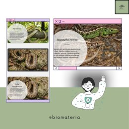 Przegląd i znaczenie gadów - gra zgadnij kto to