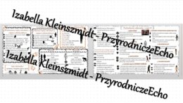 Sketchnotka - notatka „Pochodzenie człowieka” wykonana w power point do edycji. Biologia 8; „Ewolucja życia”