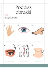 Części ciała workbook + kurs fiszkowy