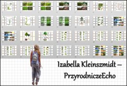 Zestaw notatek okienkowych. Stacje zadaniowe/notatki/notatki graficzne/karty pracy/sketchnotki/projekt/lekcje w terenie do działu „Różnorodność roślin” w pdf. Biologia 5.