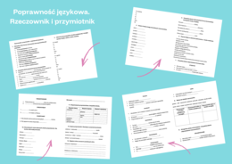 Rzeczownik i przymiotnik. Poprawność językowa