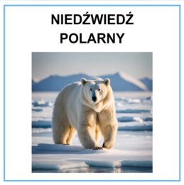 Gra memory. Gatunki zwierząt / roślin i ich środowiska. 30 kart