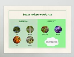 Plakaty. Różnorodność gatunkowa zwierząt, roślin i grzybów.