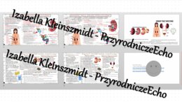 Zestaw sketchnotek i kart pracy + gratisowe linki do prezentacji multimedialnych niekomercyjnych wykonanych w genial.ly do indywidualnego pobrania i użycia do celów niekomercyjnych. Biologia 7, „Układ wydalniczy”