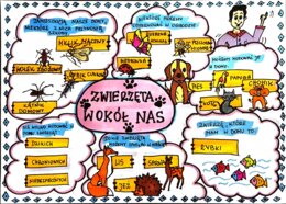 Klasa 4. Przyroda. Karta pracy. Zwierzęta wokół nas