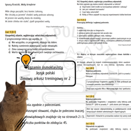 Zimowy egzamin ósmoklasisty - arkusz treningowy nr 2 + klucz