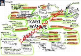 Tkanki roślinne biologia klasa 5 - mapa myśli