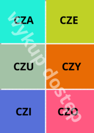 LOGOTOMY_ GŁOSKA `CZ`
