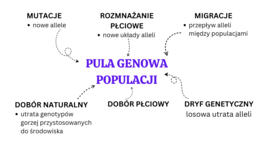 ewolucja organizmów KLASA 4 ROZSZERZENIE BIOLOGIA