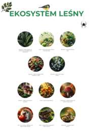 Plakat „Ekosystem leśny” (zwierzęta, drzewa).