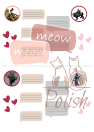 Walentynki wśród postaci z polskich miast - JPJO