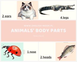Angielski. Części ciała zwierząt