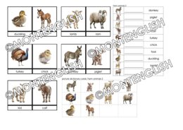 Zestaw kart obrazkowych: FARM ANIMALS SET 2