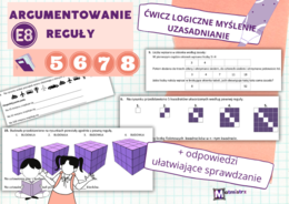 Argumentowanie i reguły E8