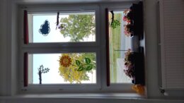 Jesienne szablony - dekoracja na okna