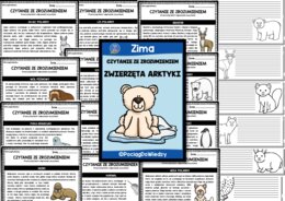 Czytanie ze zrozumieniem - Zwierzęta Arktyki