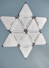 Hierarchiczna budowa organizmów + etapy doświadczenia