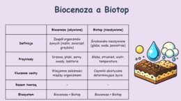 Podstawowe pojęcia ekologiczne. Definicja. Przykłady. Krótkie pytania quizowe.