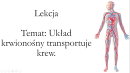Klasa 4 - Układ krwionośny - prezentacja