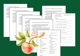 📚📝 Pakiet 6 opowiadań na DZIEŃ JABŁKA – z pytaniami i zadaniami dla uczniów 🍎 CZYTANIE ZE ZROZUMIENIEM – kl. 4-6 – opowiadanie + odpowiedzi