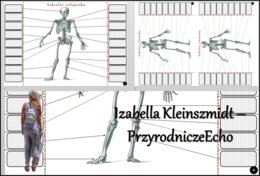 Notatka okienkowa/stacja zadaniowe/notatka interaktywna/notatka graficzna/karta pracy/sketchnotka „Szkielet człowieka” w pdf. „Budowa szkieletu osiowego”. Biologia 7, dział „Aparat ruchu”. Materiał wykonany na podstawie podręcznika z wydawnictwa Nowa Era