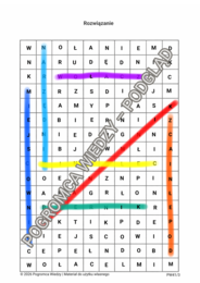 Przypadki rzeczownika - zestaw kart pracy (klasa 4)