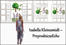 Notatka okienkowa „Budowa roślin okrytonasiennych”, „Okrytonasienne” w pdf. Biologia 5 dział „Różnorodność roślin”.