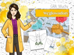 Klasa 8. Chemia. Węglowodory. Muchy.