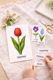 Moje pierwsze kwiaty – karty obrazkowe dla 2–4-latków