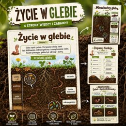 Życie w glebie