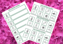 "ANIA Z ZIELONEGO WZGÓRZA" – ikonki – wklejki – karta pracy – lektury 4-6