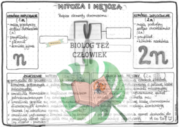 Genetyka - mitoza i mejoza - szarość