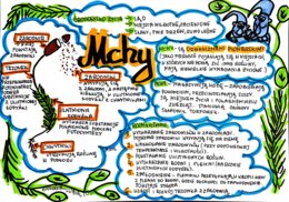 Klasa 5. Biologia. Mchy (karta pracy kolorowa)