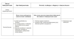 Wielospecjalistyczna Ocena Poziomu Funkcjonowania Ucznia z niepełnsprawnoscią ruchową
