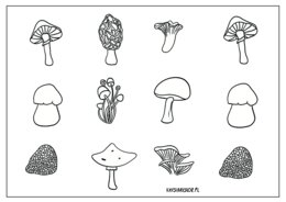 Grzyby. Kolorowanka